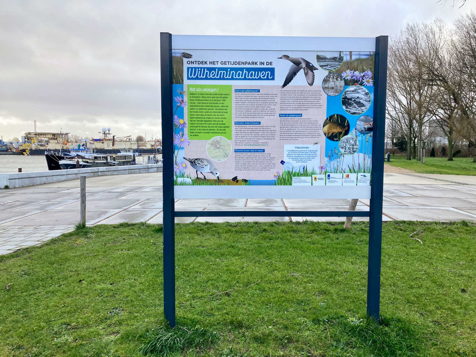 Bord getijdenpark schiedam kleurenaangepast 3.1920x1920 (1)